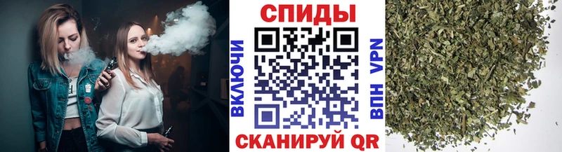 МЕГА как войти  продажа наркотиков  Севск  БУТИРАТ бутик 