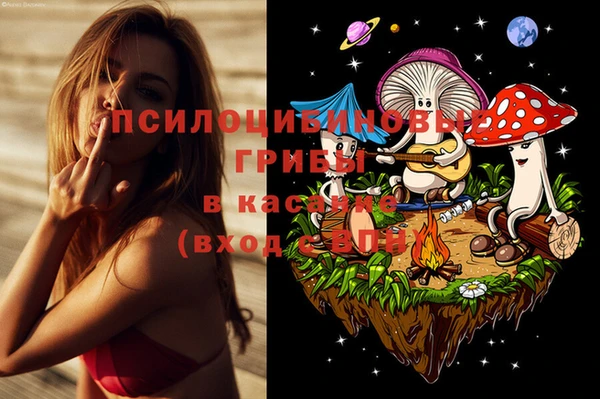 сатива Балахна