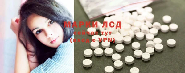 сатива Балахна
