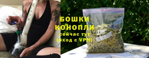 сатива Балахна