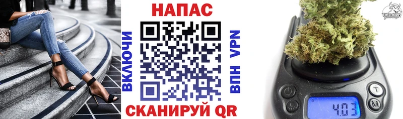 цена   Севск  Бошки Шишки тримм 